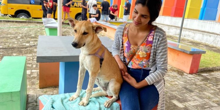 Paraíba Pet: parceria com ONG leva serviço de castração para cães e gatos de Guarabira