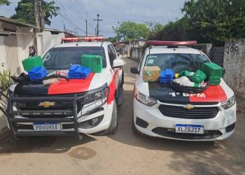 Final de semana tem cerca de 100 quilos de drogas e 33 armas de fogo apreendidas na Paraíba