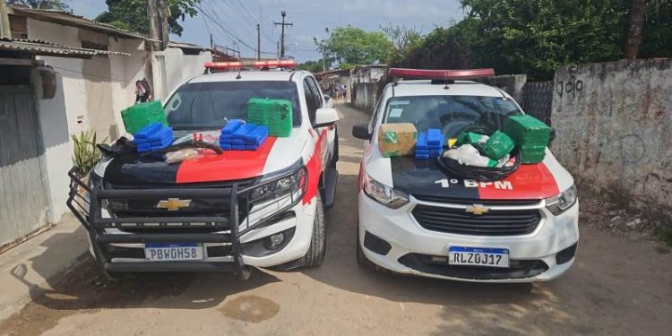 Final de semana tem cerca de 100 quilos de drogas e 33 armas de fogo apreendidas na Paraíba