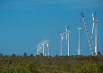 Nordeste tem segundo recorde consecutivo de geração de energia eólica