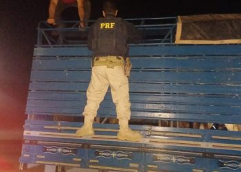 PRF na Paraíba prende foragido da Justiça por homicídio e recupera oito gados roubados em Pernambuco