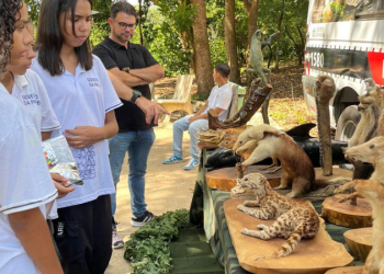Operação Mata Atlântica em Pé é realizada na Paraíba e em mais 16 estados do país