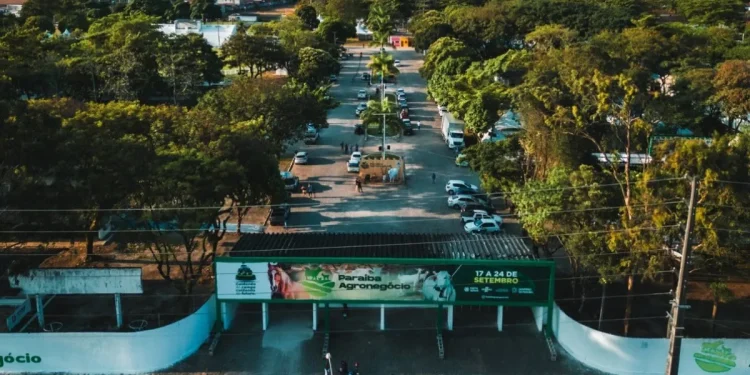 Mais de 700 bovinos serão expostos na Expofeira Paraíba Agronegócios 2024 e volume de negócios deve atingir R$ 25 milhões