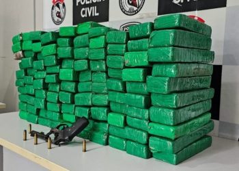 Investigações da Polícia Civil resultaram na apreensão de mais de meia tonelada de entorpecentes nos últimos 90 dias na Paraíba