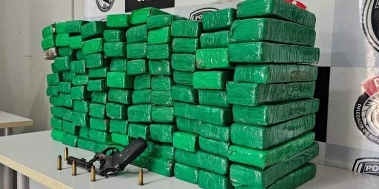 Investigações da Polícia Civil resultaram na apreensão de mais de meia tonelada de entorpecentes nos últimos 90 dias na Paraíba