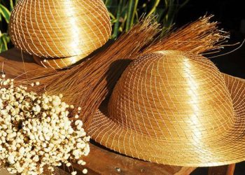 Sancionada lei que reconhece artesanato em capim dourado como manifestação da cultura nacional