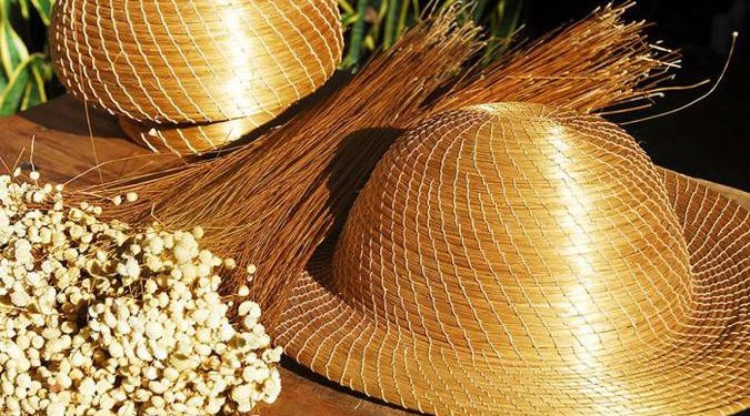 Sancionada lei que reconhece artesanato em capim dourado como manifestação da cultura nacional
