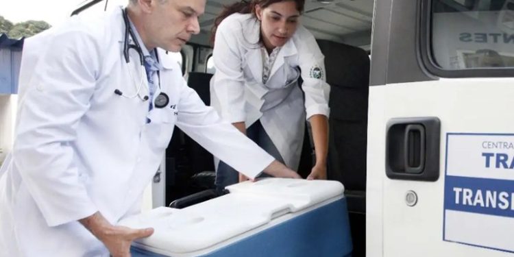 Ministério da Saúde anuncia medidas no caso da contaminação de órgãos