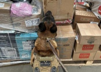 PF apreende 25 kg de maconha e 398 medicamentos em encomenda na Paraíba