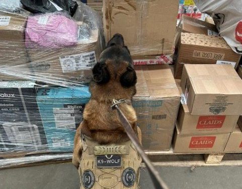 PF apreende 25 kg de maconha e 398 medicamentos em encomenda na Paraíba