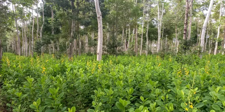 MPs discutem desafios digitais e mudanças climáticas