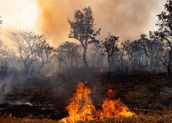 Questão climática é desafio para prefeitos e vereadores