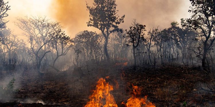 Questão climática é desafio para prefeitos e vereadores