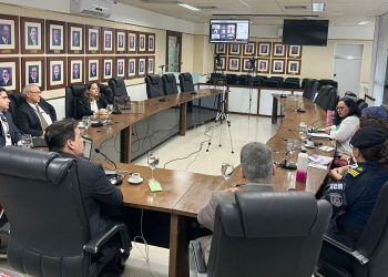 MP, TJ e Executivo discutem ações para acompanhar medidas protetivas de urgência