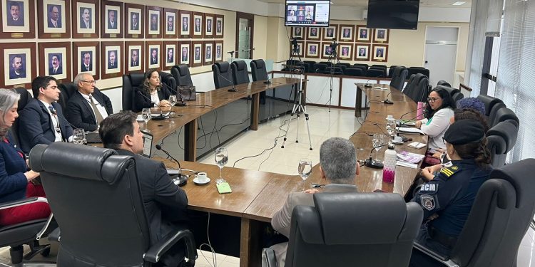 MP, TJ e Executivo discutem ações para acompanhar medidas protetivas de urgência