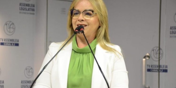 Projeto de Sílvia Benjamin torna obrigatória instalação de câmeras em instituições privadas que cuidam de idosos na Paraíba