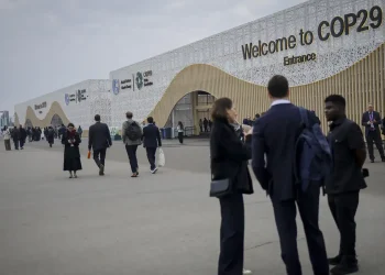 “Difícil experiência”, diz Marina sobre a COP29, em discurso final