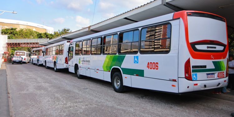 População de Campina Grande é beneficiada com a entrega de 12 novos ônibus para compor frota do sistema de transporte público