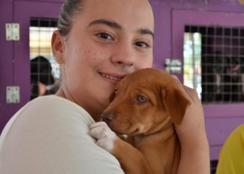 Centro de Zoonoses de Campina realiza evento de adoção e vacinação antirrábica na Praça da Bandeira, neste sábado (23)