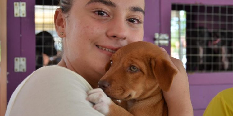 Centro de Zoonoses de Campina realiza evento de adoção e vacinação antirrábica na Praça da Bandeira, neste sábado (23)