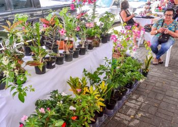 Sedurb divulga programação da Feira Móvel do Produtor para o mês de novembro