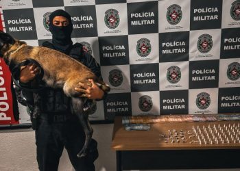 Operação República prende dupla que atuava no tráfico e apreende drogas na Capital