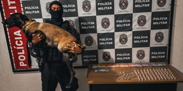 Operação República prende dupla que atuava no tráfico e apreende drogas na Capital