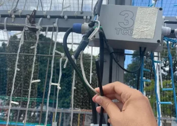 Decoração natalina do Parque Solon de Lucena é alvo de vandalismo