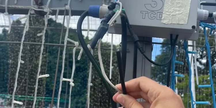 Decoração natalina do Parque Solon de Lucena é alvo de vandalismo