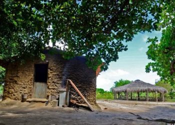 Operação prende suspeito de tráfico que estaria ameaçando indígenas no Litoral Norte da PB