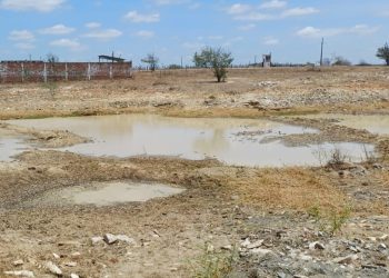 Prefeitura de Campina Grande prepara decreto de situação de emergência por estiagem na zona rural
