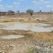 Prefeitura de Campina Grande prepara decreto de situação de emergência por estiagem na zona rural