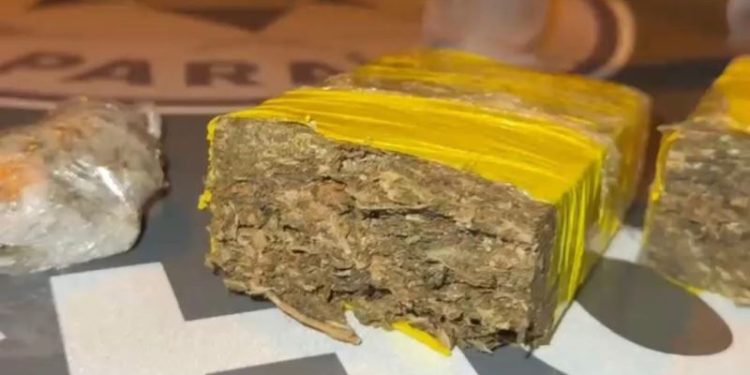 Após denúncias de tráfico e perturbação de sossego, Polícia Militar encerra festa irregular e apreende drogas