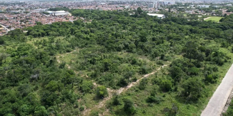 João Pessoa amplia áreas verdes nos espaços urbanos e segue investindo em locais de lazer