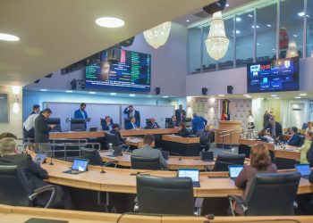 ALPB aprova PL que institui a Política de Atenção à Saúde Mental Materna