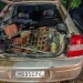 Dono do carro envolvido em explosão perto do STF é de Rio do Sul (SC)