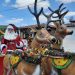 Prefeitura de Campina Grande realiza nesta segunda-feira (02) chegada do Papai Noel no Aluízio Campos