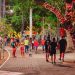 Tributo a Gonzagão: Natal Iluminado recebe programação especial em alusão ao “Dia do Forró”