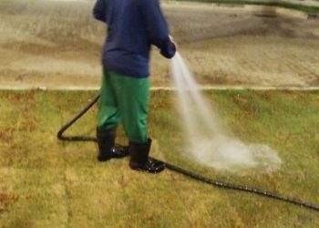 Sedurb adota cuidados especiais para evitar danos a espécies arbóreas durante dias de calor excessivo