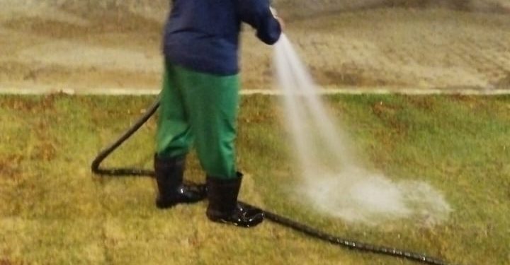 Sedurb adota cuidados especiais para evitar danos a espécies arbóreas durante dias de calor excessivo