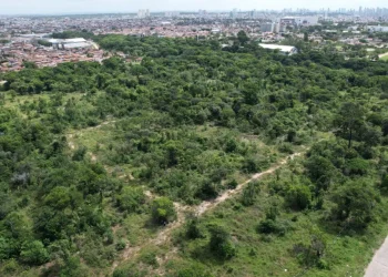 João Pessoa recebe os secretários de meio ambiente das capitais brasileiras e Distrito Federal