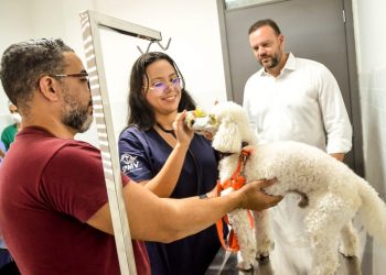 Clínica e Hospital do Pet realizam mais de 116 mil procedimentos no ano de 2024