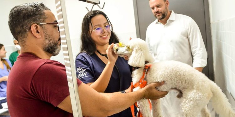 Clínica e Hospital do Pet realizam mais de 116 mil procedimentos no ano de 2024