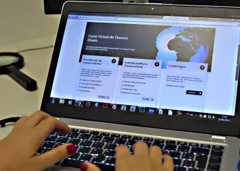 Vendas líquidas do Tesouro Direto têm segundo maior valor da história