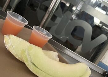 Instituto Cândida Vargas oferece orientações sobre alimentação saudável para gestantes e mães