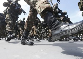 Segurança pública capacita mais de 225 mil profissionais em cursos ao longo de 2024