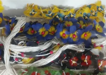 Ibama apreende peças indígenas com penas de aves em risco de extinção no Salão do Artesanato