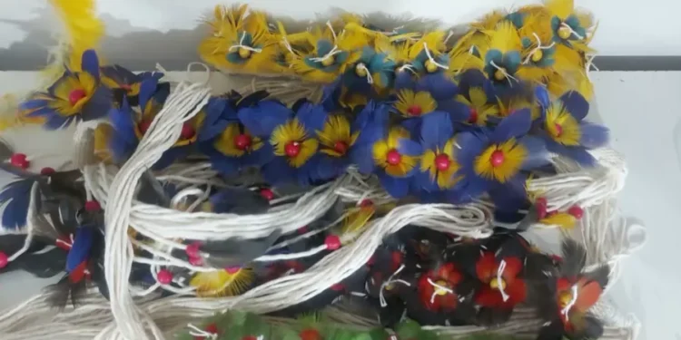 Ibama apreende peças indígenas com penas de aves em risco de extinção no Salão do Artesanato