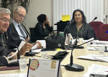 Madalena Abrantes presta conta da gestão durante reunião do Conselho Superior da Defensoria Pública