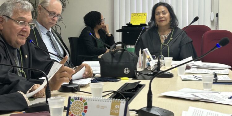 Madalena Abrantes presta conta da gestão durante reunião do Conselho Superior da Defensoria Pública